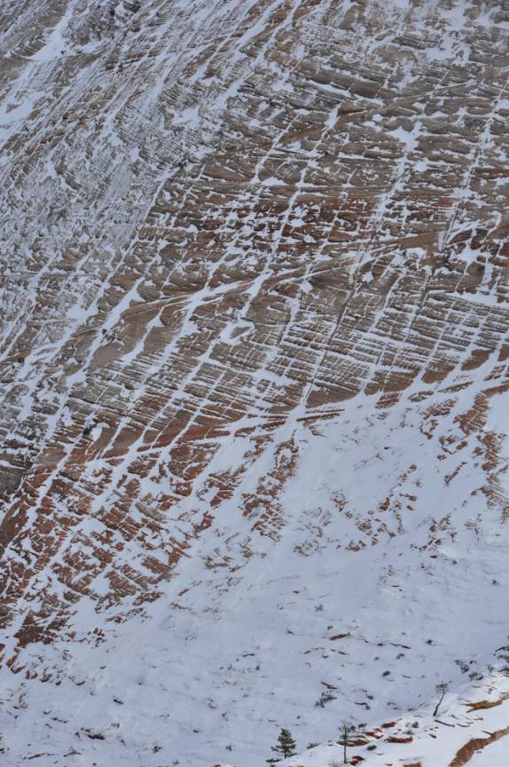 Neve e rocha se misturam nessa época do ano nas encostas do Zion National Park, em Utah, nos Estados Unidos